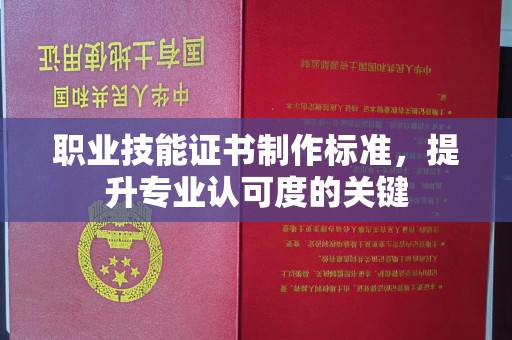 禅城职业技能证书制作标准，提升专业认可度的关键