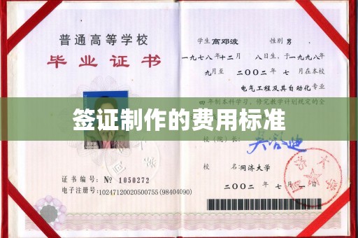 禅城签证制作的费用标准