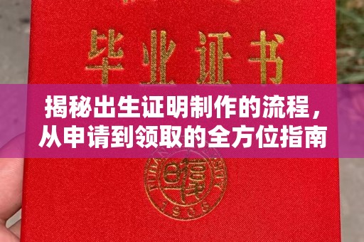 禅城揭秘出生证明制作的流程，从申请到领取的全方位指南