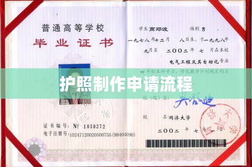 禅城护照制作申请流程