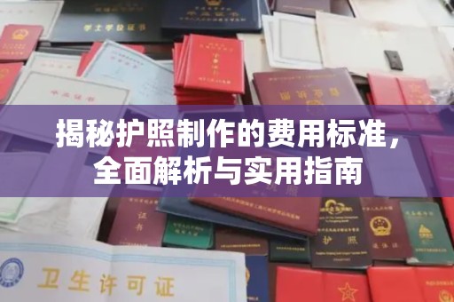 禅城揭秘护照制作的费用标准，全面解析与实用指南