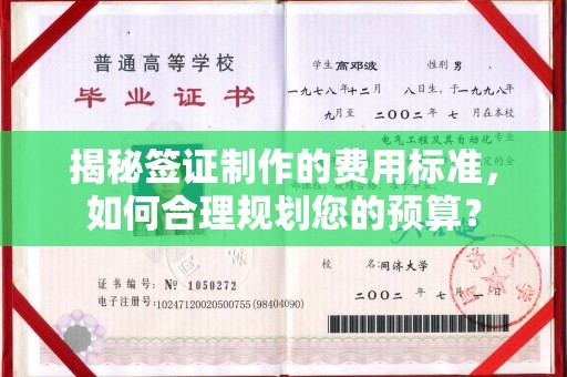 禅城揭秘签证制作的费用标准，如何合理规划您的预算？