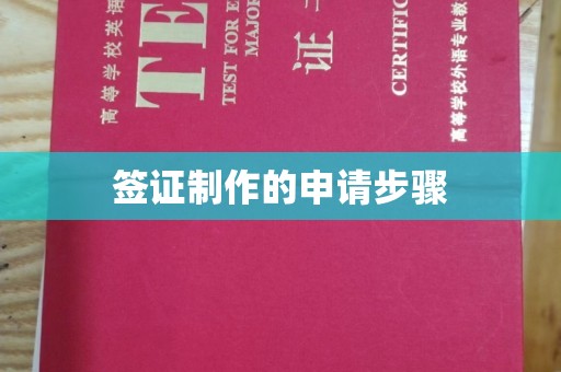 禅城签证制作的申请步骤