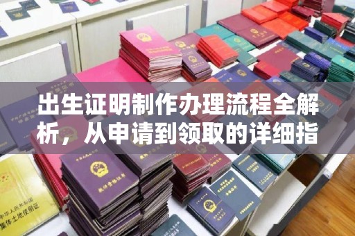 禅城出生证明制作办理流程全解析，从申请到领取的详细指南