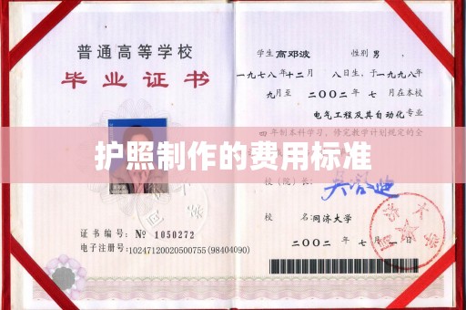 禅城护照制作的费用标准