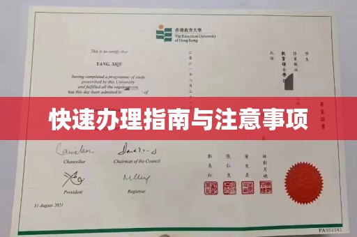 禅城快速办理指南与注意事项